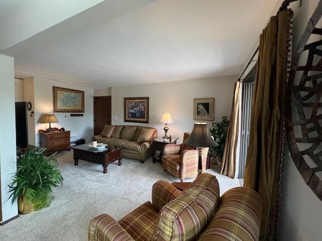 4387 Wilshire Blvd #311, Mound, MN 55364