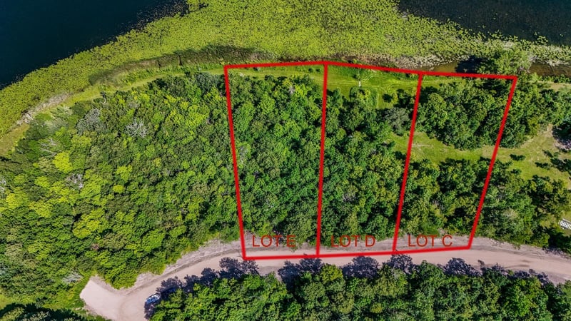 290XX N Buffalo Lake Rd E, Callaway, MN 56521