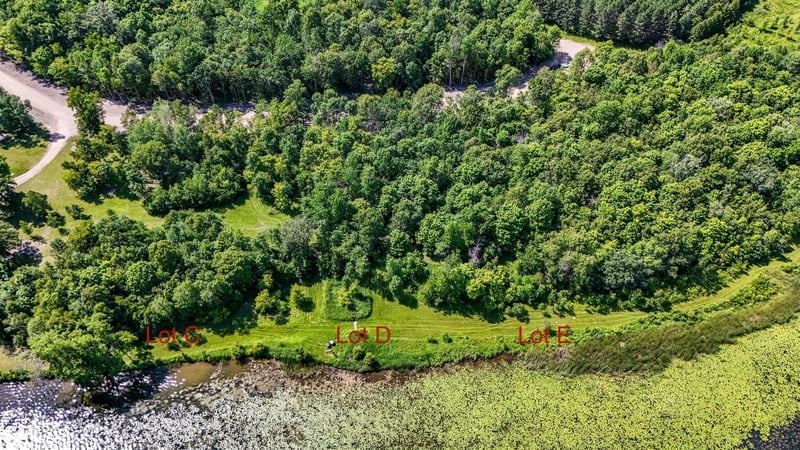 290XX N Buffalo Lake Rd E, Callaway, MN 56521