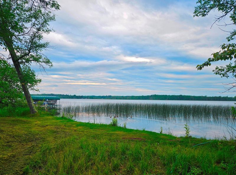 49290 Center Point Rd, Bigfork, MN 56628