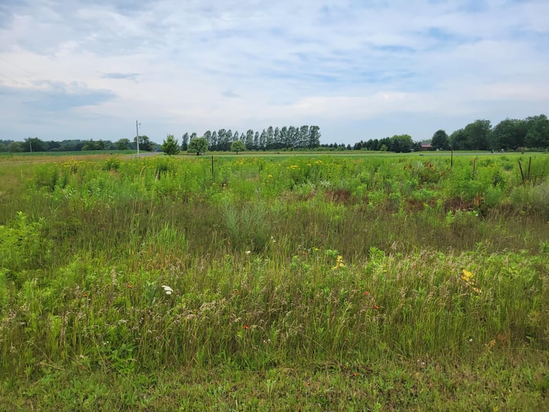 xxx 11 1/2 Ave, Turtle Lake, WI 54889