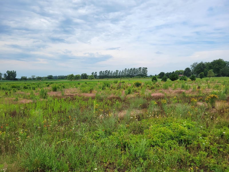 xxx 11 1/2 Ave, Turtle Lake, WI 54889