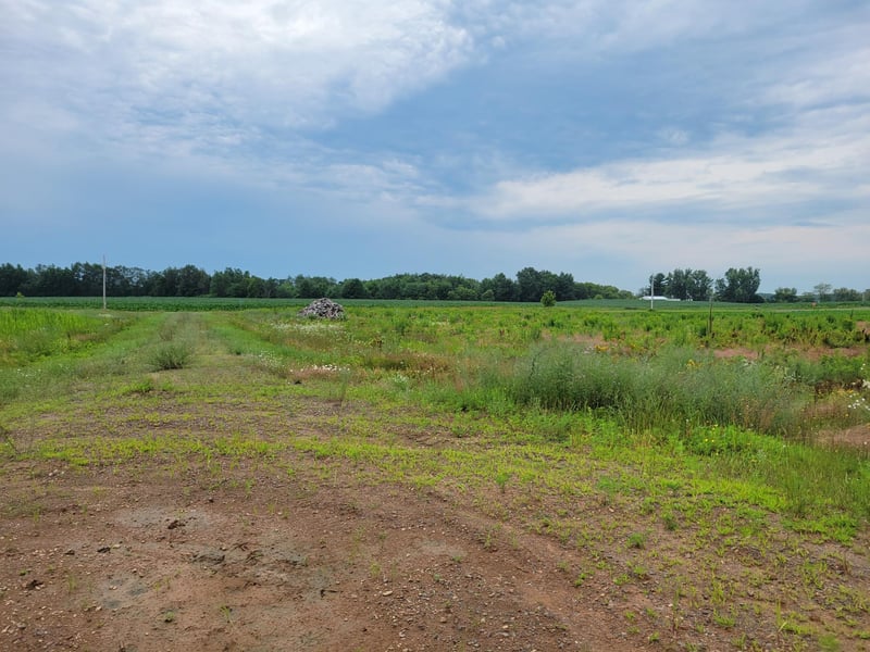 xxx 11 1/2 Ave, Turtle Lake, WI 54889
