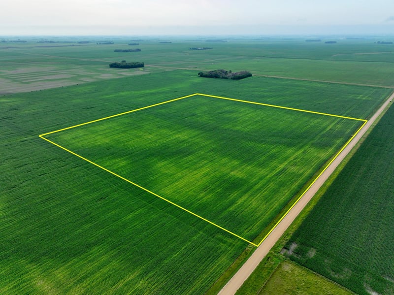 XXX 560th Ave, Comfrey, MN 56019