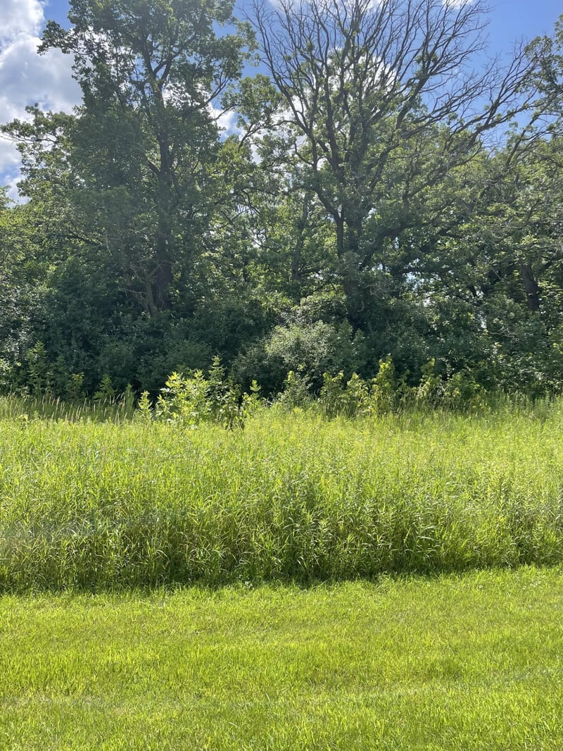 6580 Park Trail Rd, Hamel, MN 55340