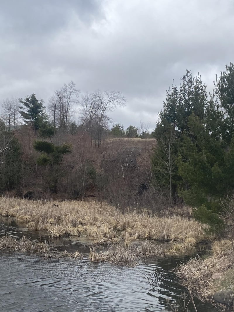 Lot 1 10 7/8 Ave, Cameron, WI 54822