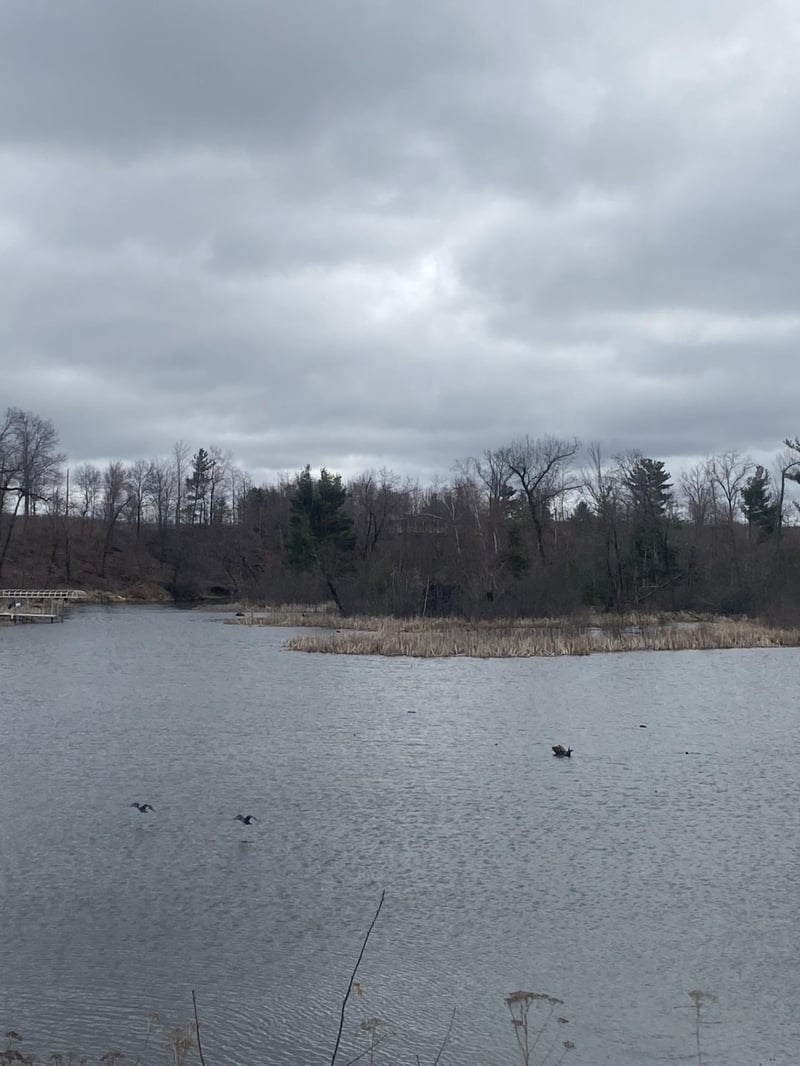 Lot 1 10 7/8 Ave, Cameron, WI 54822