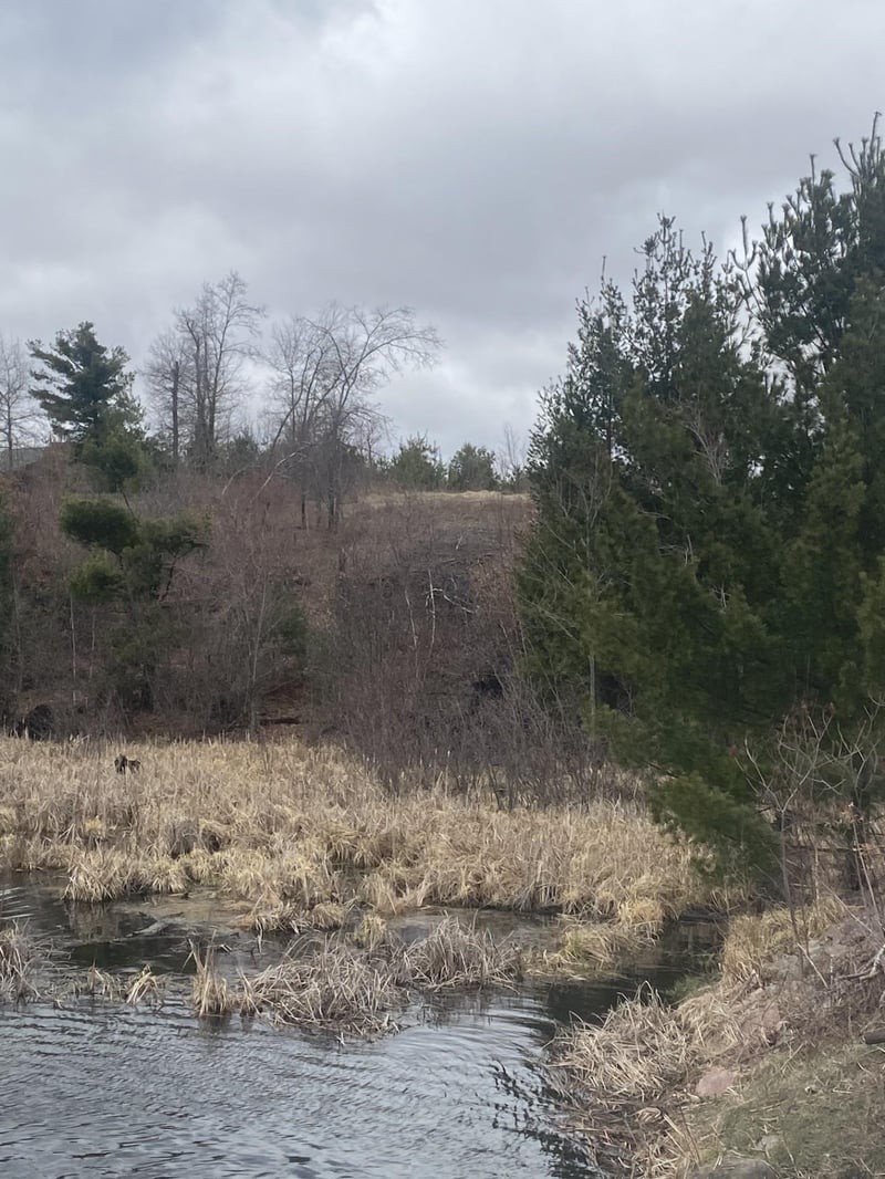Lot 1 10 7/8 Ave, Cameron, WI 54822
