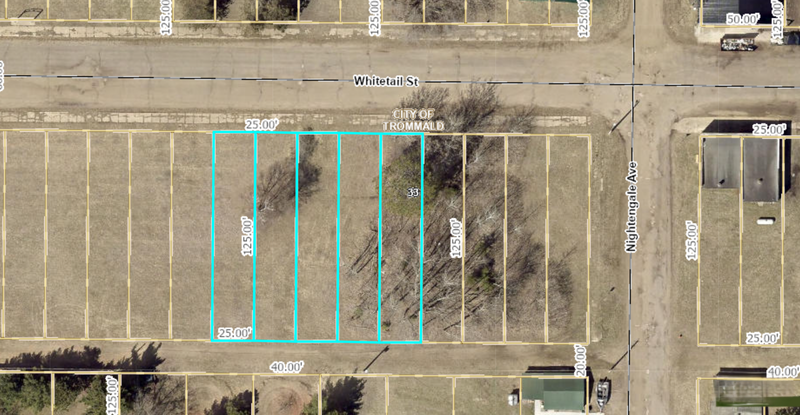 xx Whitetail St, Trommald, MN 56441