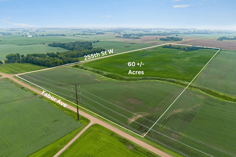 25901 Fabor Ave, Belle Plaine, MN 56011