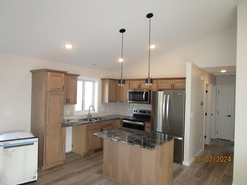2006 Douglas Trail Dr SE, Pine Island, MN 55963