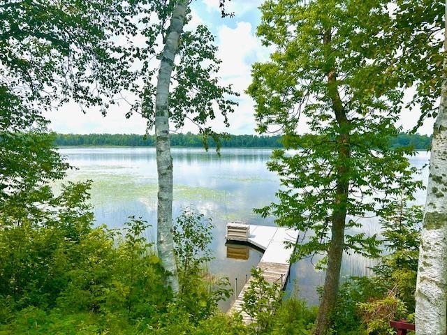 5877 Silent Water Rd NE, Tenstrike, MN 56683