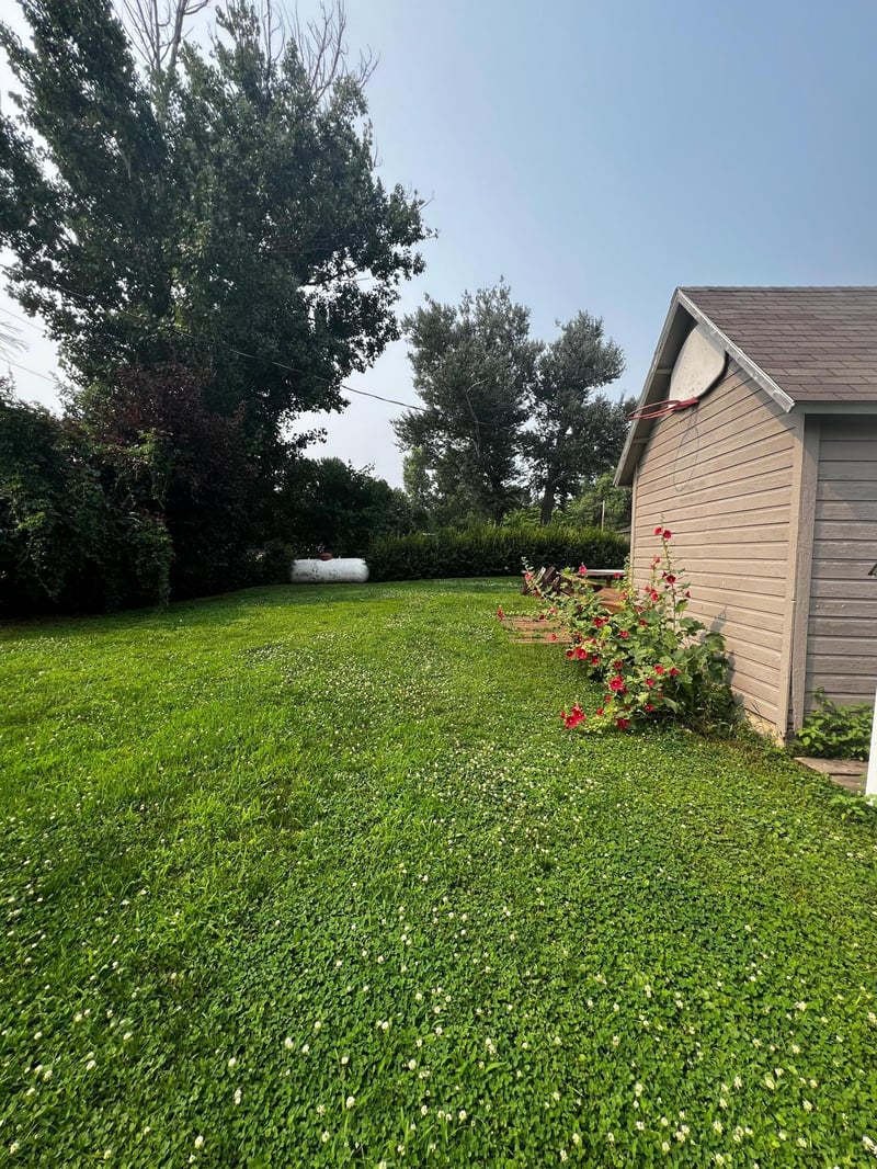 106 2nd Ave, Bellingham, MN 56212
