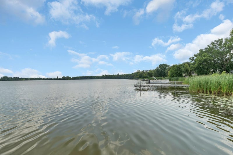 155 Dutch Lake Trl, Howard Lake, MN 55349