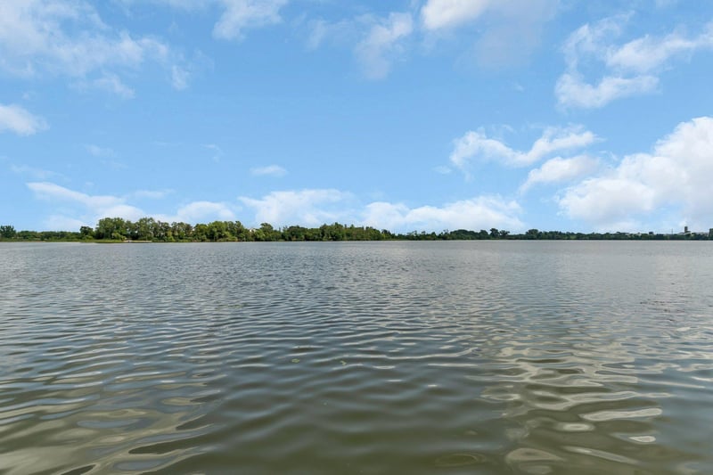 155 Dutch Lake Trl, Howard Lake, MN 55349