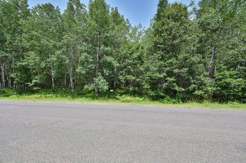 Lot 5 Black Brook, Webster, WI 54893