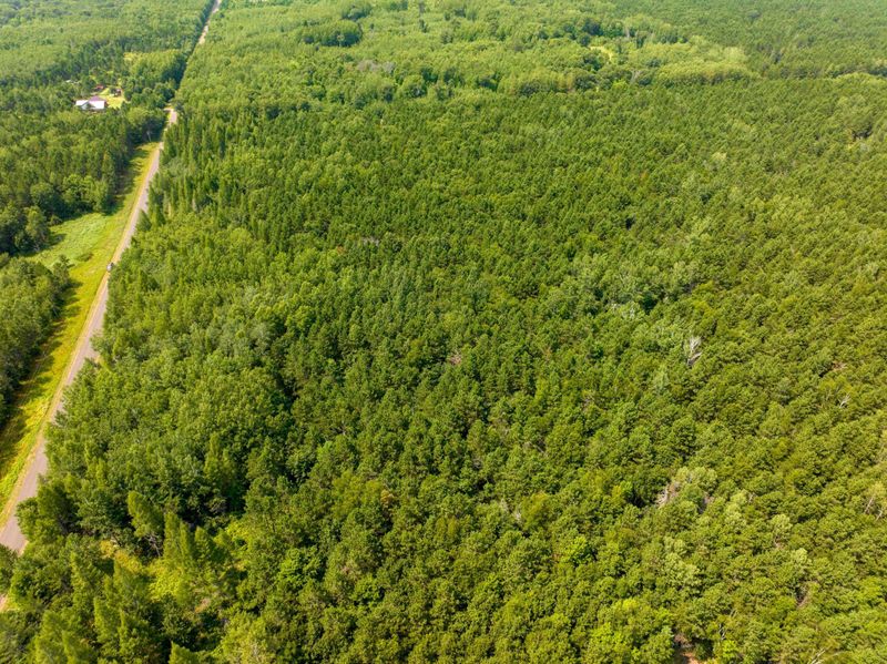Lot 5 Black Brook, Webster, WI 54893