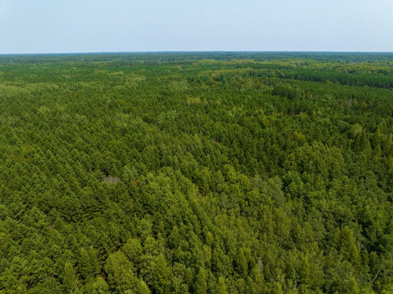 Lot 5 Black Brook, Webster, WI 54893