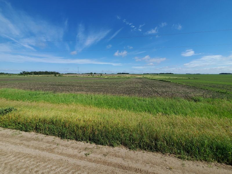 Roseville Township Section 5 & 8, Herman, MN 56248