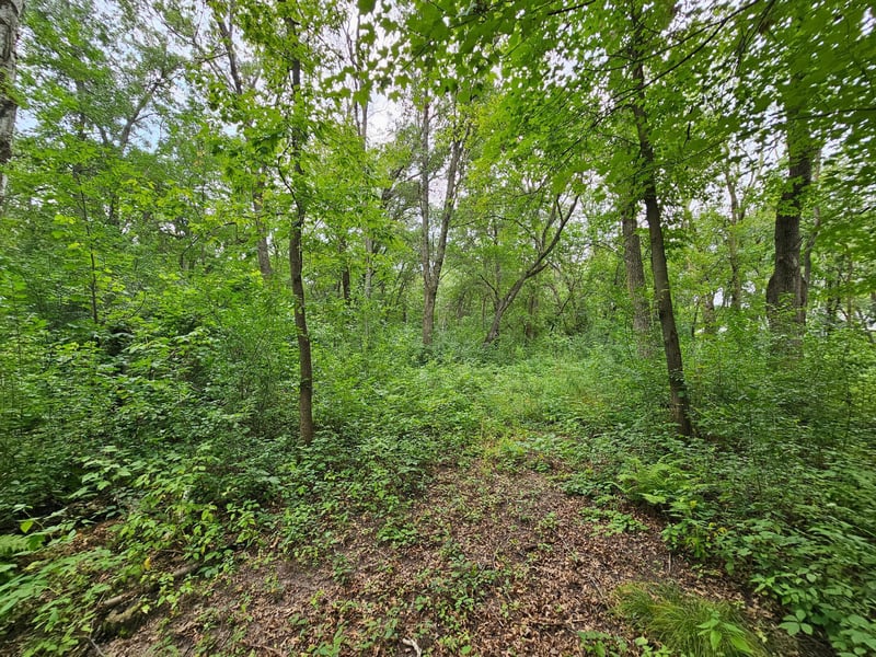 xxxx Kettle River Blvd, Columbus, MN 55025