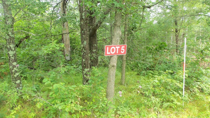 LOT 5 Deerfield Rd, Trego, WI 54888