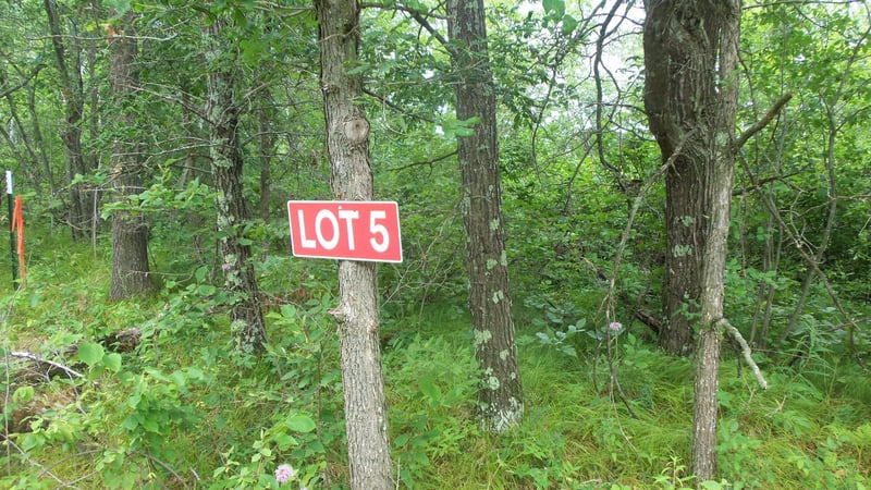 LOT 5 Deerfield Rd, Trego, WI 54888