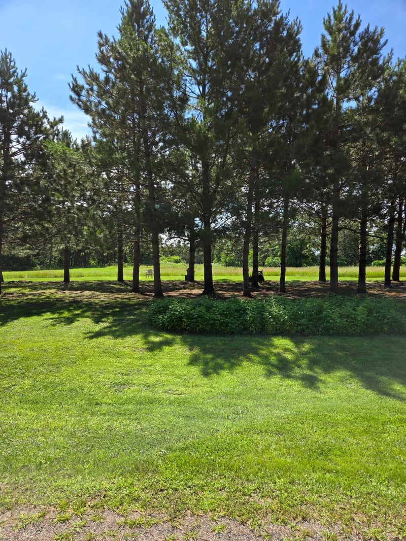 TBD Hoffman Beach Dr, Hillman, MN 56338