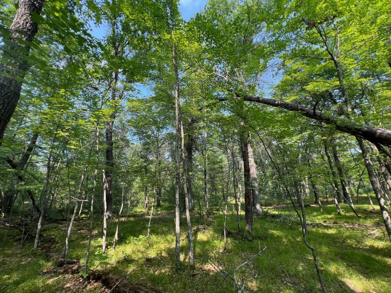 xxxxx Mclain Rd, Grantsburg, WI 54840