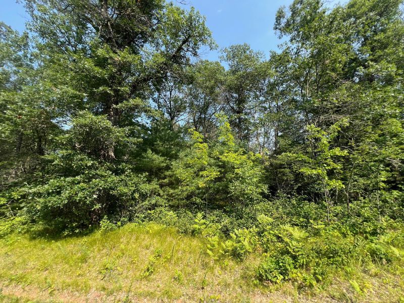xxxxx Mclain Rd, Grantsburg, WI 54840