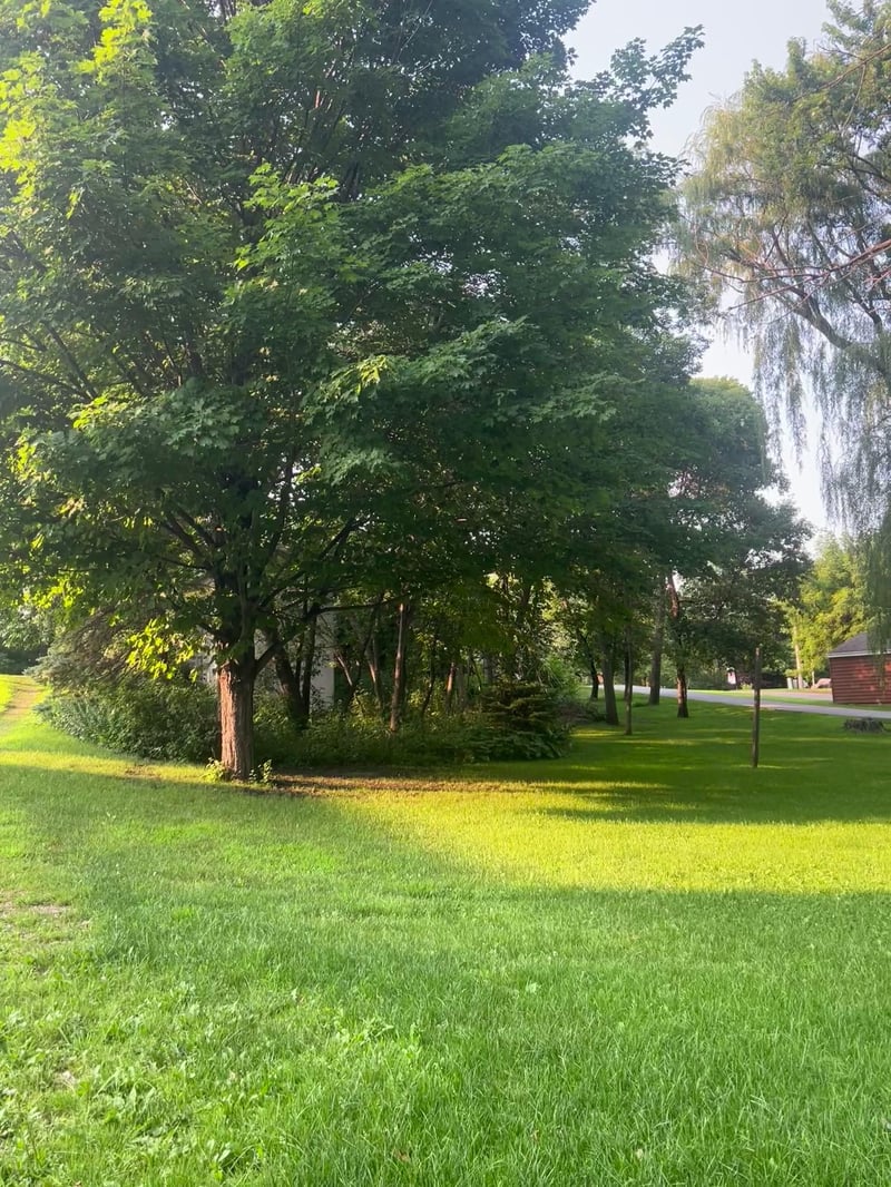 8045 North Shore Dr, Spicer, MN 56288