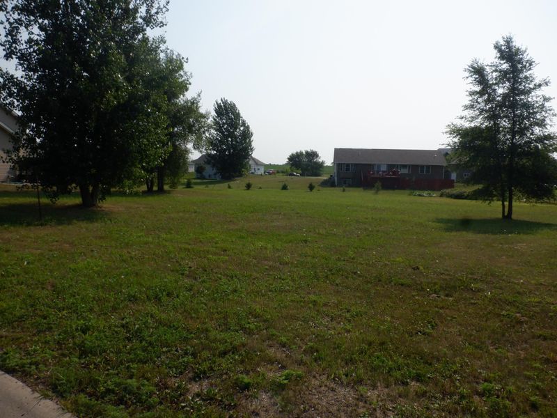 295 Arbor Curve, Cokato, MN 55321
