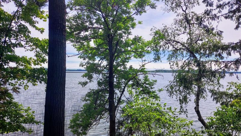 65405 County Road 174, Northome, MN 56661