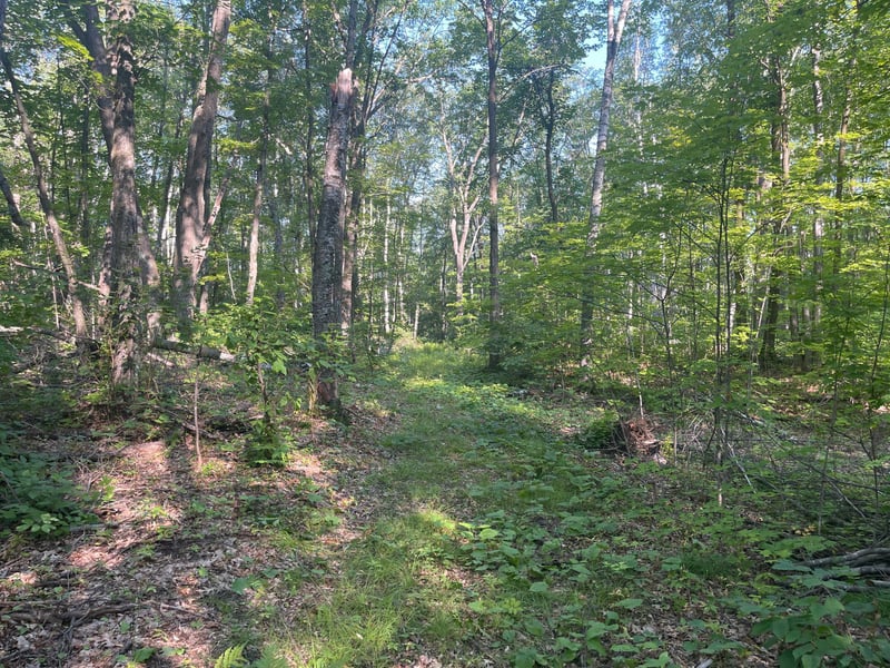 xxx Highway 23, Kerrick, MN 55756