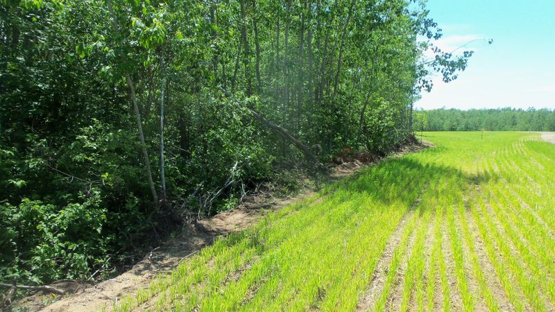 LOT 12 Red Maple Ln, Siren, WI 54872
