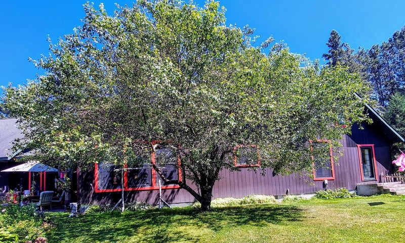 52030 State Highway 46, Squaw Lake, MN 56681