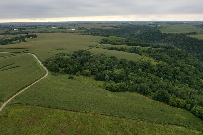 38352 Dairy Ln, Peterson, MN 55962