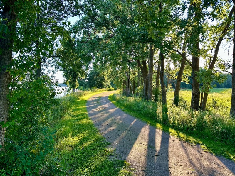 xxx 123rd Ave Se Ave, Lake Lillian, MN 56253