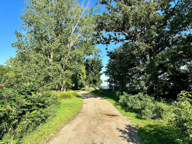 xxx 123rd Ave Se Ave, Lake Lillian, MN 56253