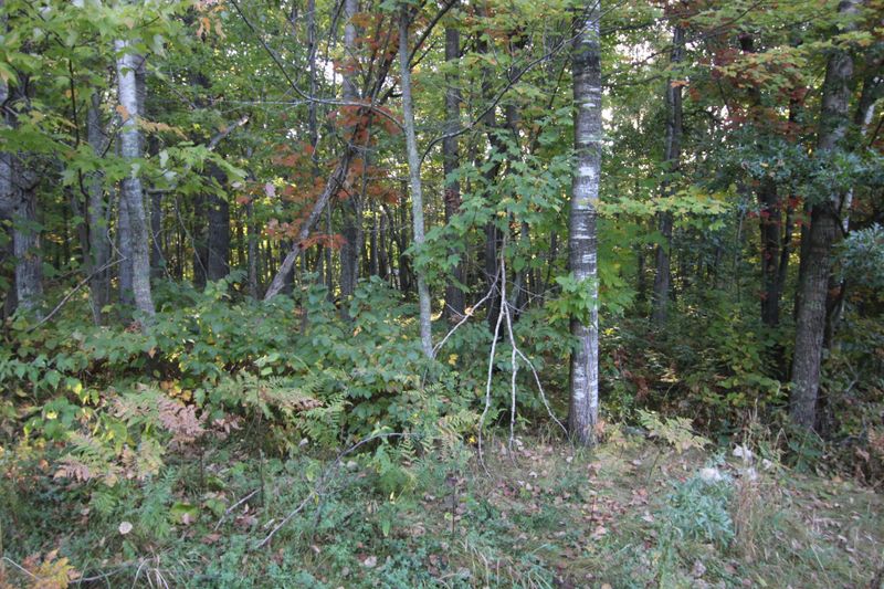 L24 B2 WB16 Scenic Overlook Dr, Breezy Point, MN 56472