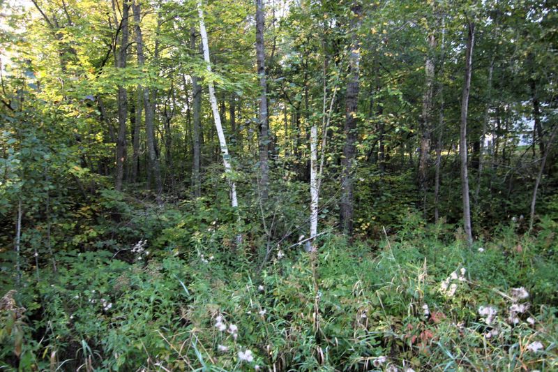 L3 B13 WB15 Winter Trl, Breezy Point, MN 56472