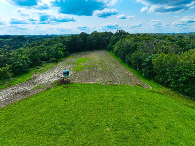 11250 Davy Rd, Hokah, MN 55941