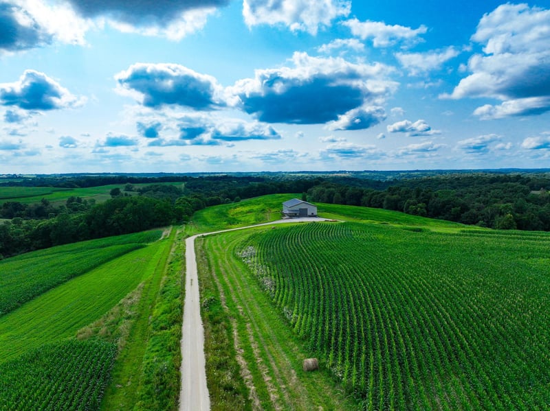 11250 Davy Rd, Hokah, MN 55941