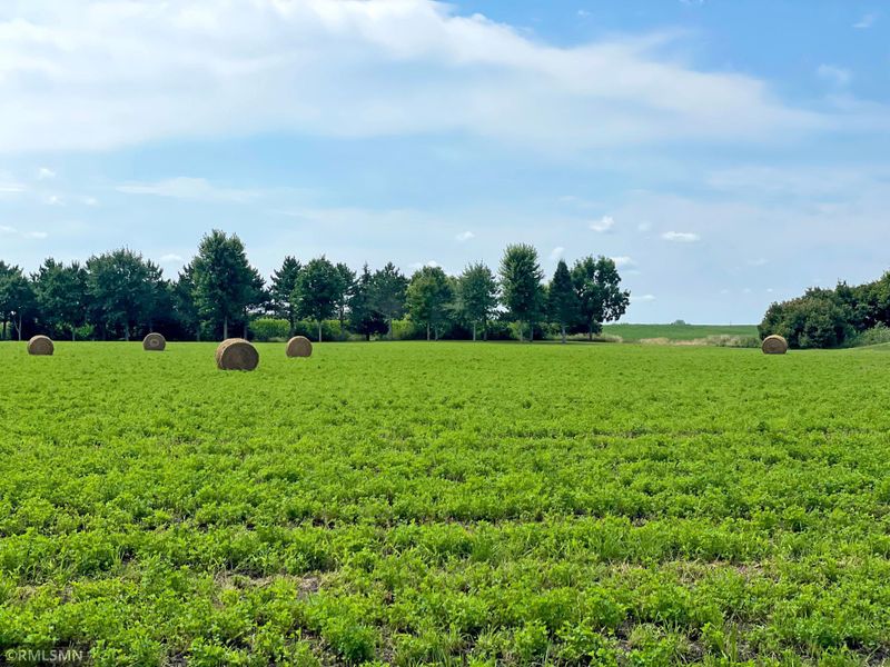 1500X 60th St SW, Cokato, MN 55321