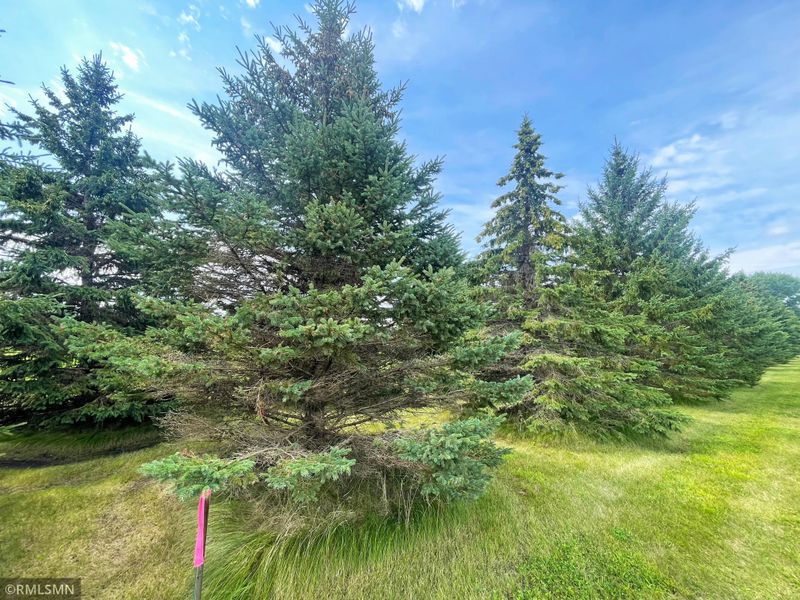 15XX2 60th St SW, Cokato, MN 55321