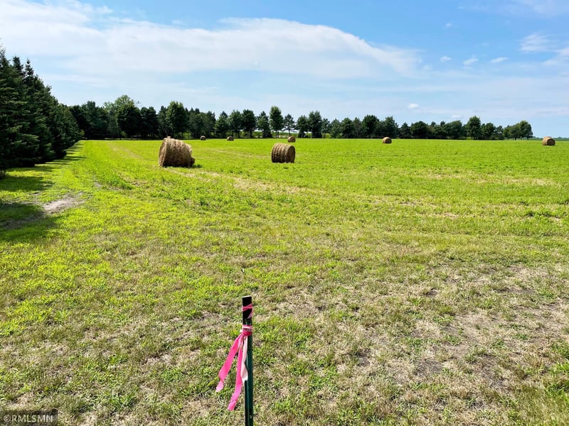 15XX4 60th St SW, Cokato, MN 55321