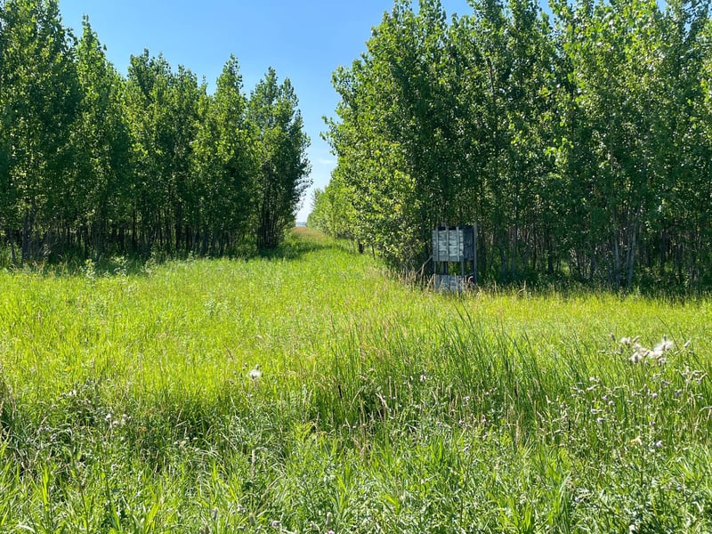 TBD 380th Ave NE, Goodridge, MN 56725