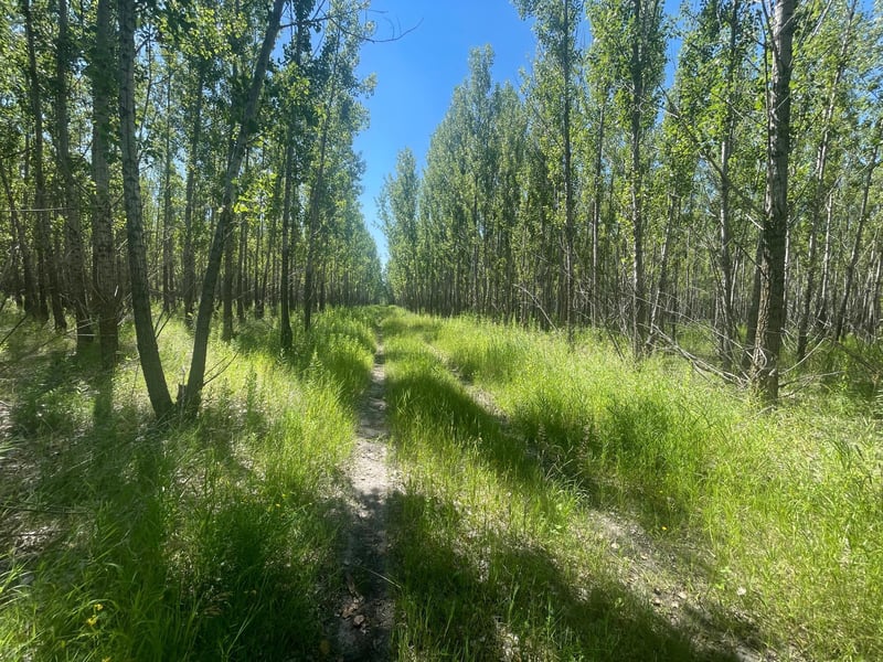 TBD 380th Ave NE, Goodridge, MN 56725