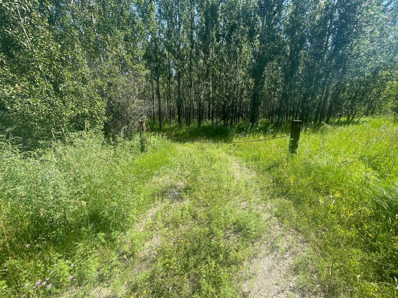 TBD 380th Ave NE, Goodridge, MN 56725