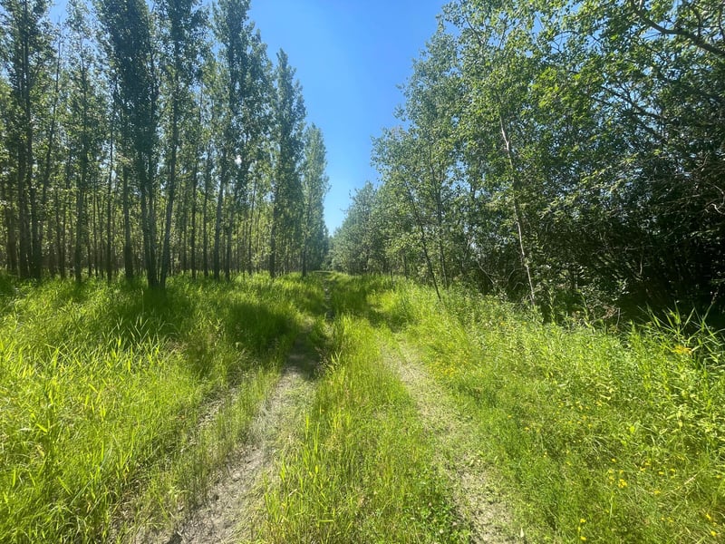 TBD 380th Ave NE, Goodridge, MN 56725