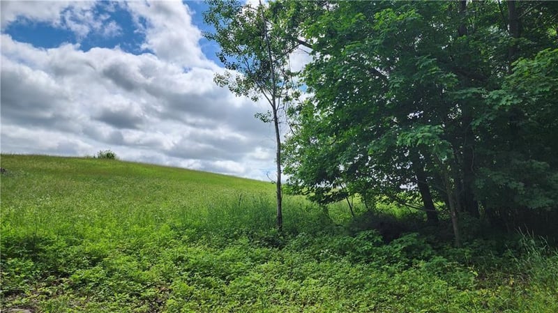 Lot 10 270th St, Boyceville, WI 54725